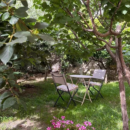 Machi Oda ve Kahvaltı
