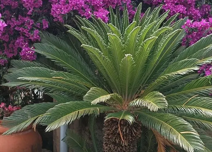 住宿加早餐酒店 Machi