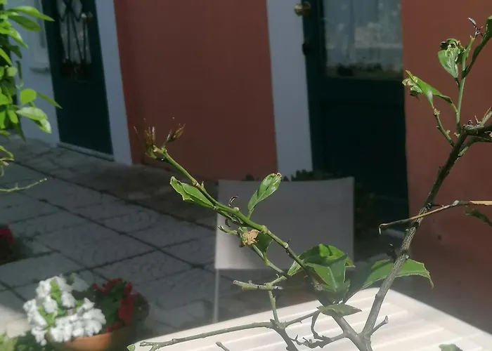 Machi 住宿加早餐酒店